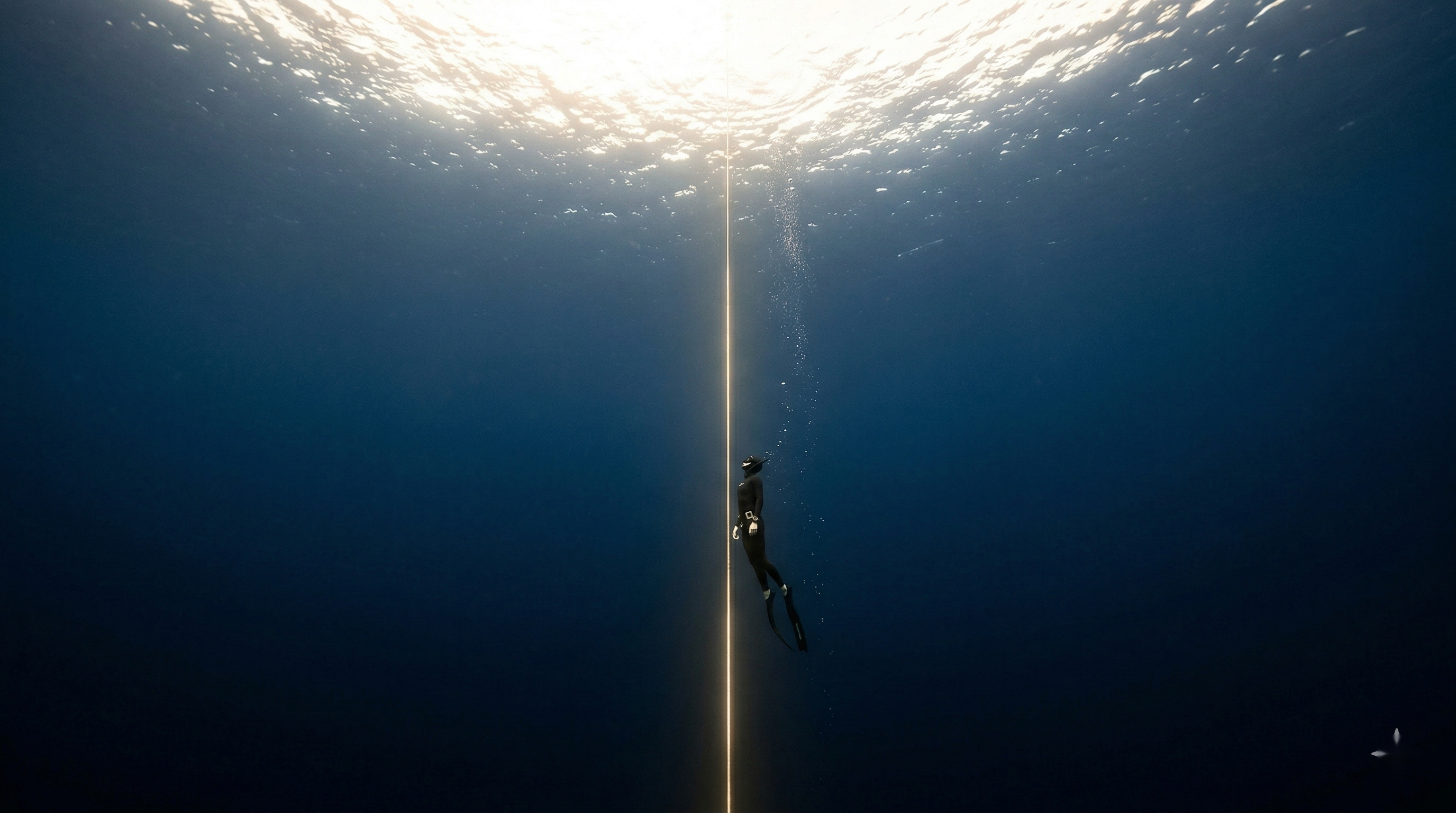Un plongeur descendant dans les profondeurs de l'océan, symbole de la ligne de vie.