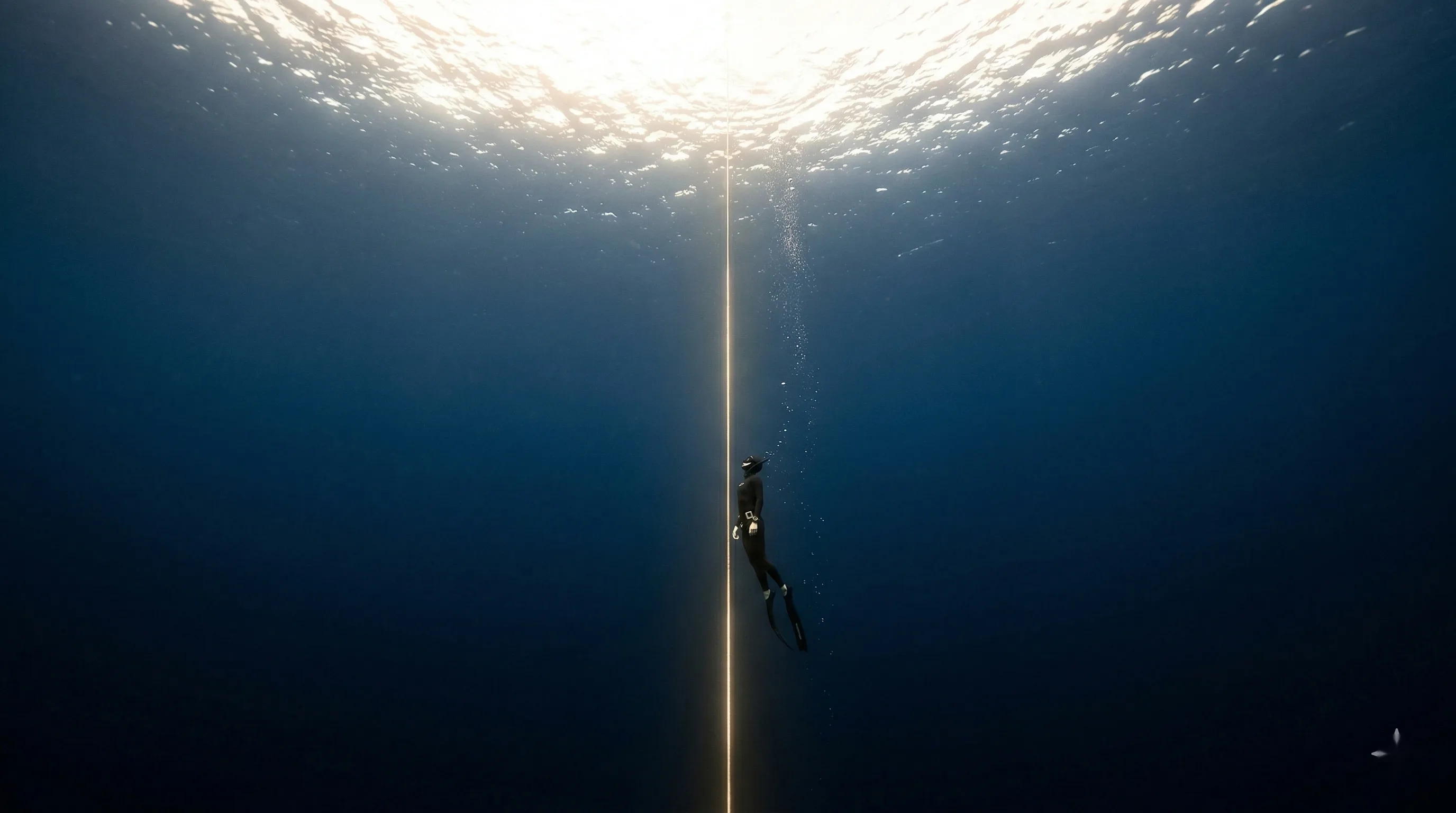 Un plongeur descendant dans les profondeurs de l'océan, symbole de la ligne de vie.